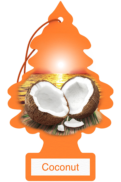 Coconut Tree