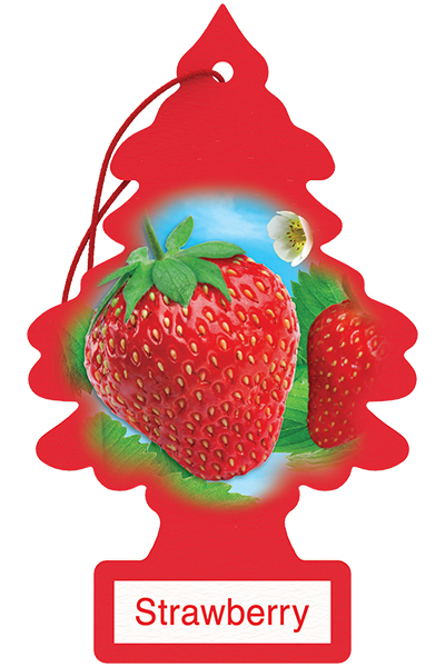 Strawberry Tree