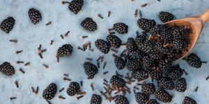 Blackberry Clove