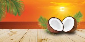 Coconut